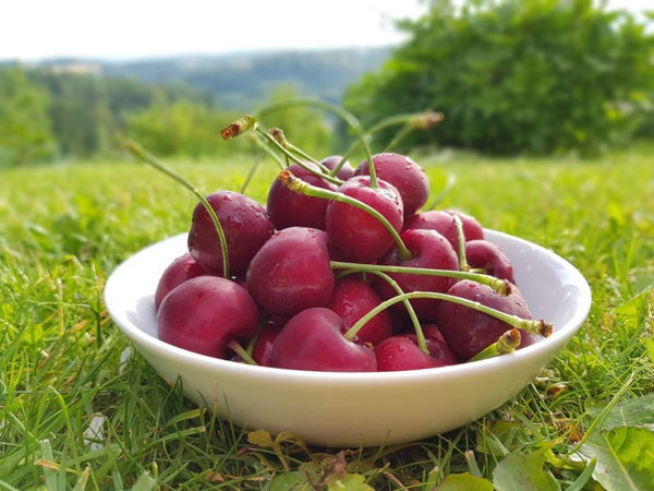 Kirschen sind ein wahrer Leckerbissen: einfach so oder in unserem köstlichen Semifreddo!