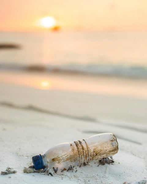 Over 450 years, a plastic bottle releases tiny plastic particles into the sea.