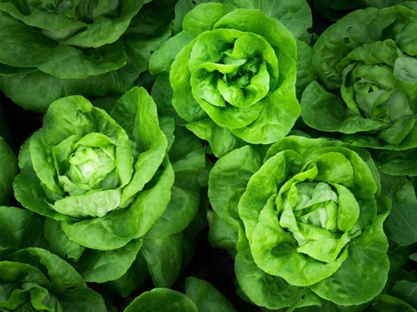 Zum Abnehmen muss es nicht nur Salat sein! Eine ausgewogene Ernährung mit viel buntem Gemüse macht Sinn.