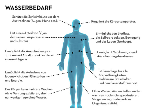 Water balance of the body