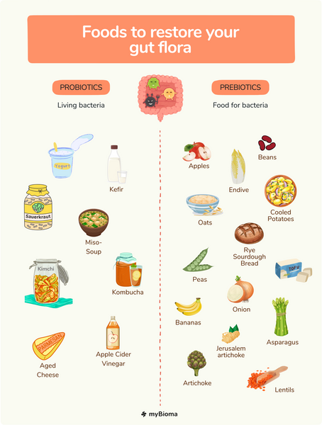 Foods to restore your gut flora