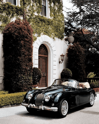 Jaguar-XK150-Leaping Cart-Ralph Lauren-2