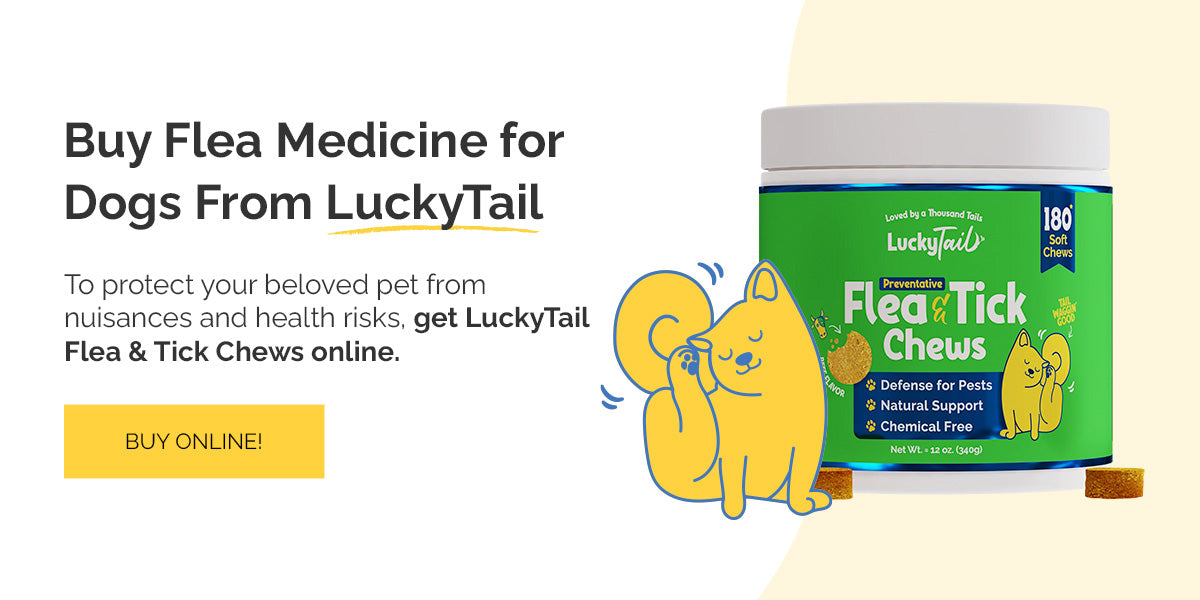 Buy Flea Medicine for Dogs From LuckyTail