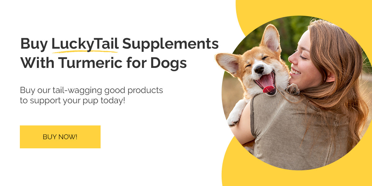 buy supplements with turmeric