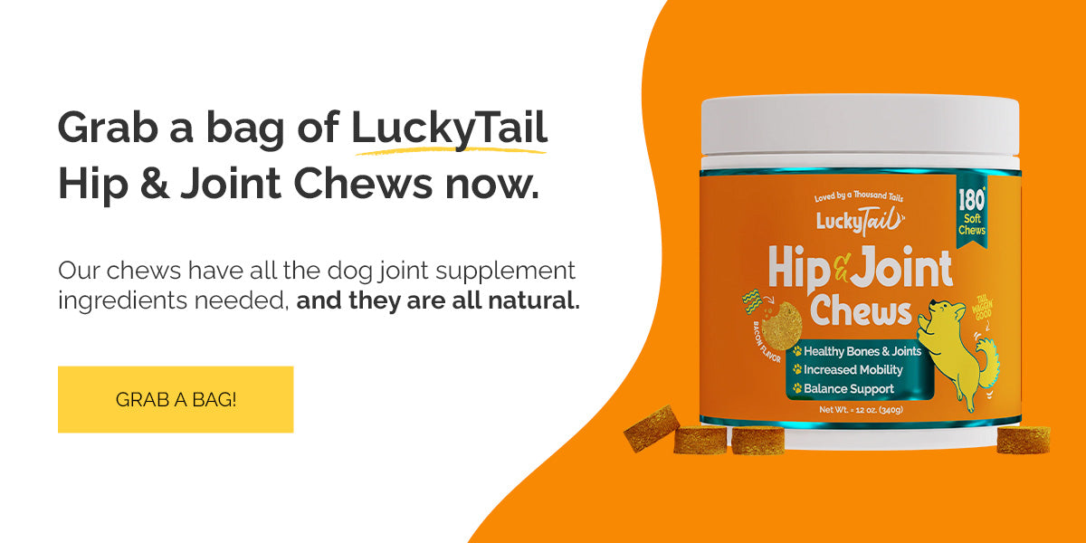 Grab a bag of LuckyTail Hip & Joint Chews now