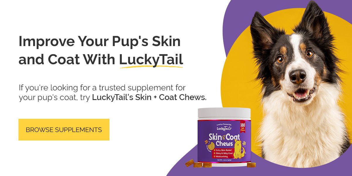 improve your pup's skin and coat with luckytail