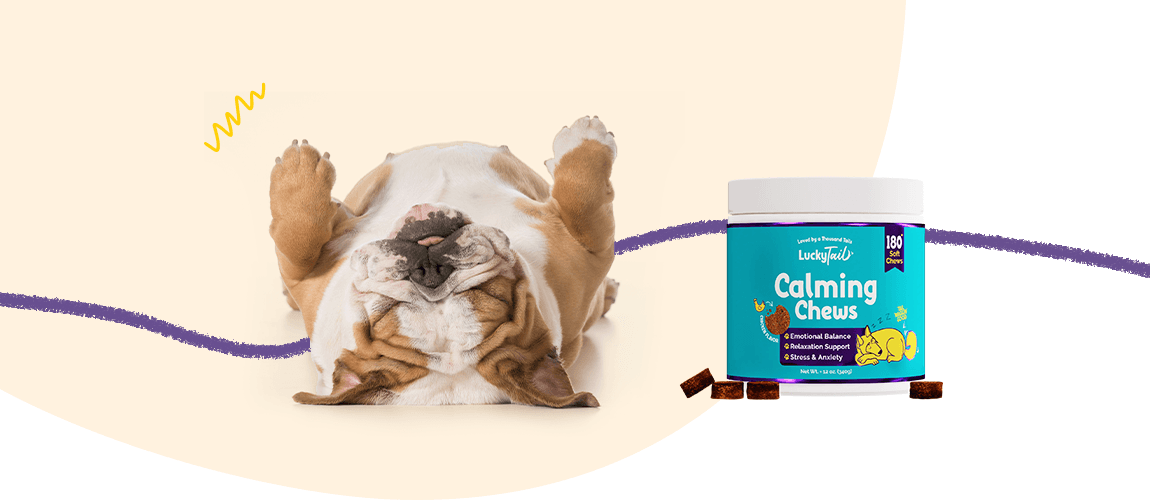 is melatonin safe for dogs