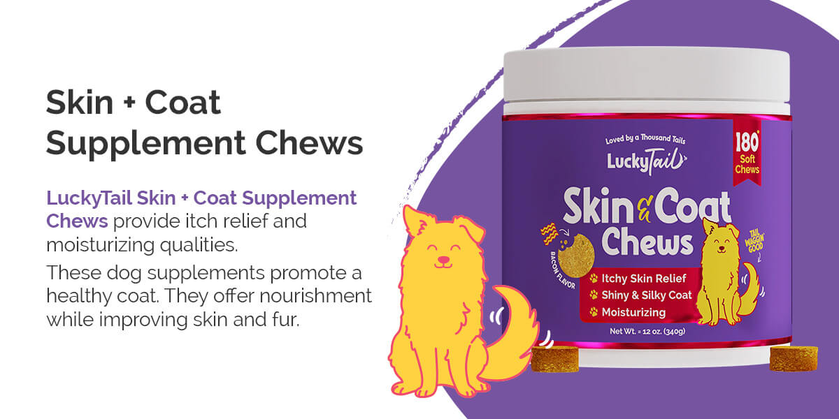 skin and coat chews provide itch relief