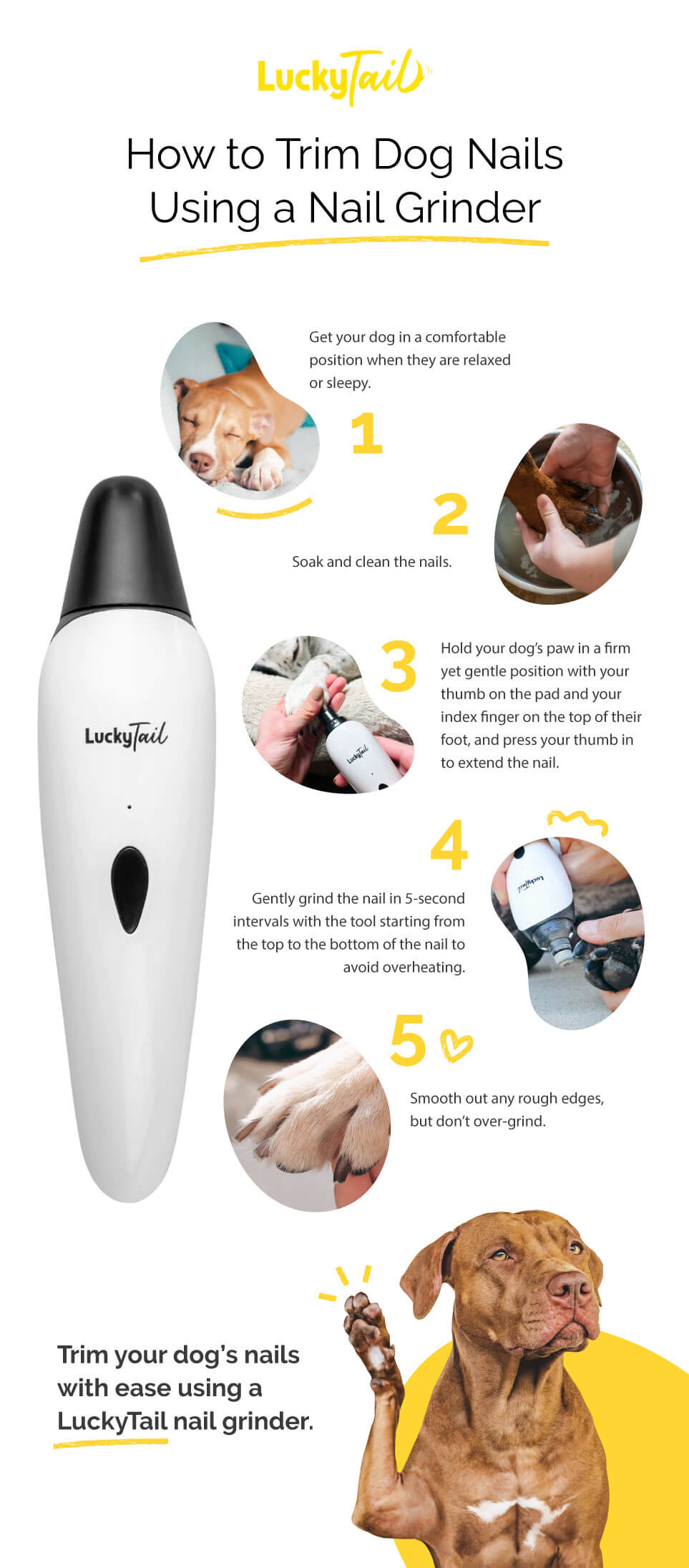 TS MART Round Nail Trimmer for Babies with 6 Grinding Heads Safe Attractive  Look - Price in India, Buy TS MART Round Nail Trimmer for Babies with 6  Grinding Heads Safe Attractive