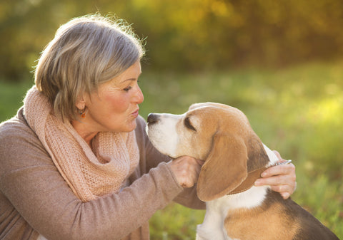 Senior woman hugs her beagle dog in countryside