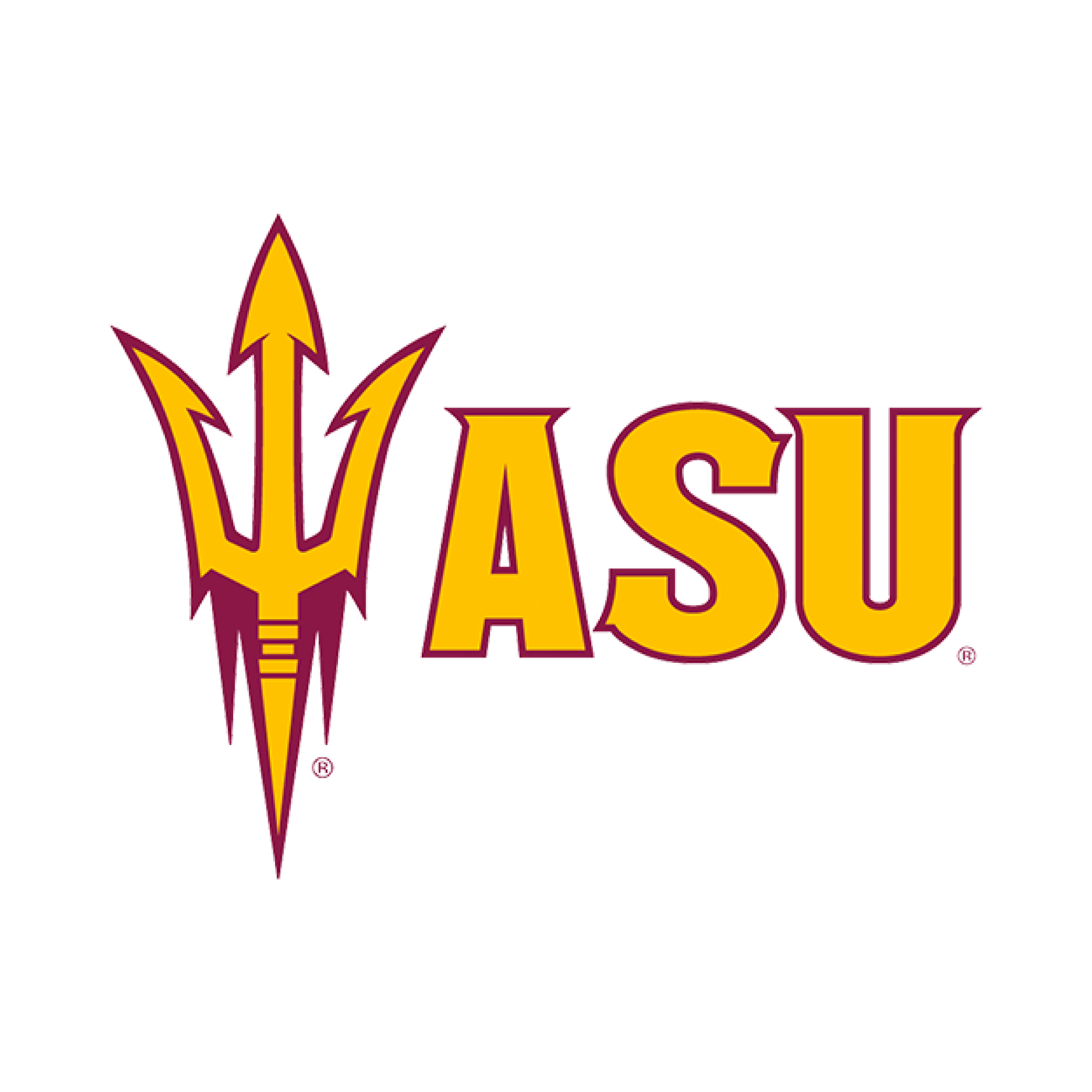 Arizona State University Pickleball Paddle