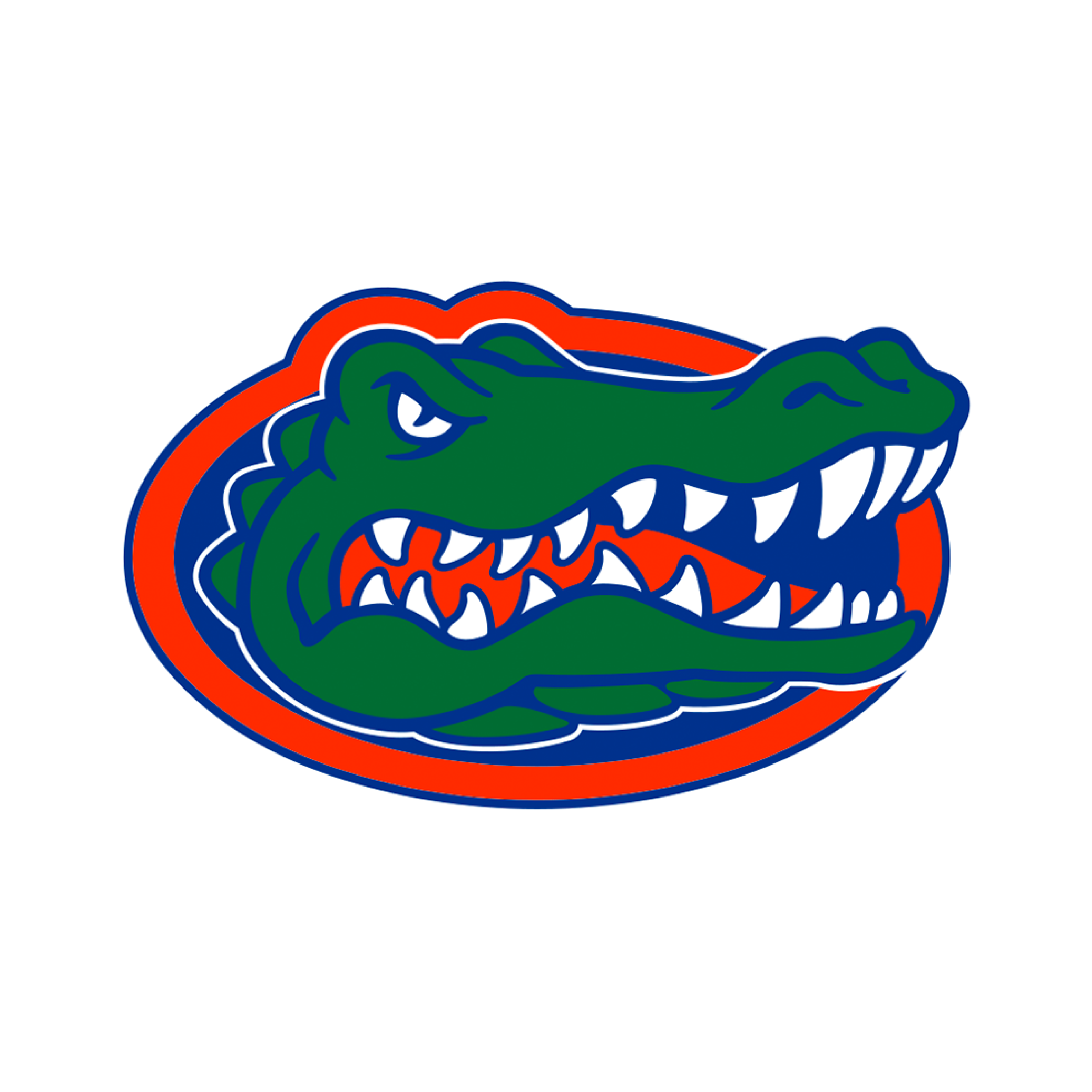 University of Florida Pickleball Paddle