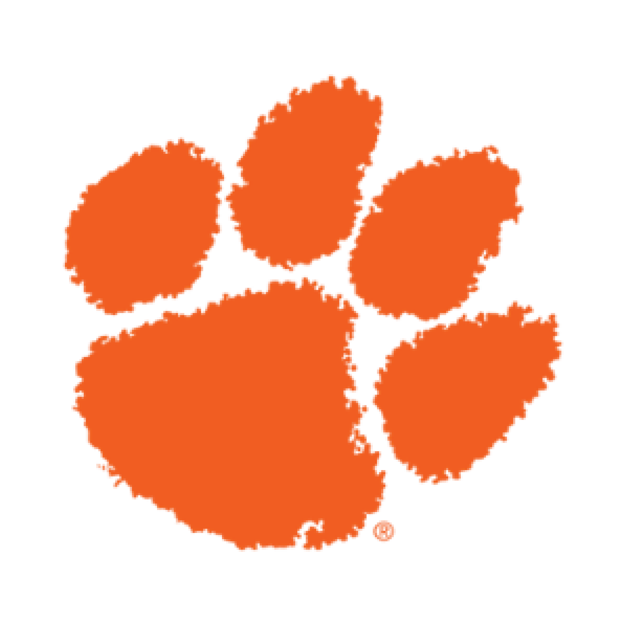 Clemson University Pickleball Paddle