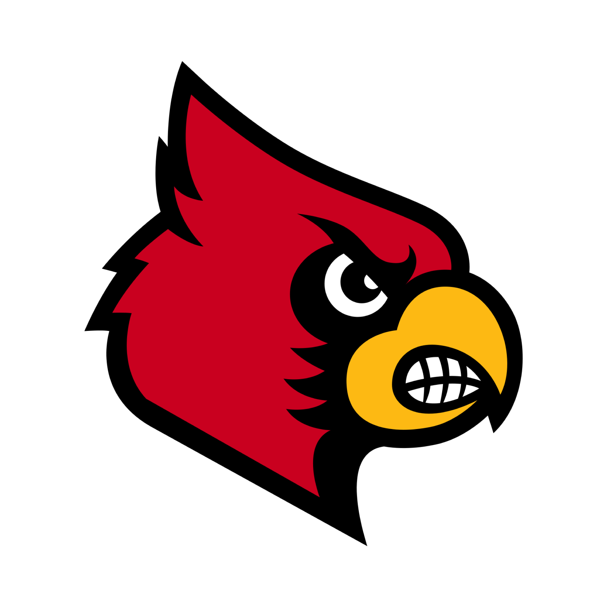 University of Louisville Pickleball Paddle