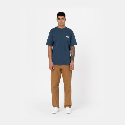 DICKIES - CARPENTER PANT SW BROWN