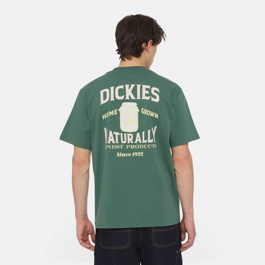 DICKIES - ELLISTON TEE SS DARK FOREST