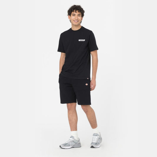 DICKIES - MAPLETON SHORT BLACK