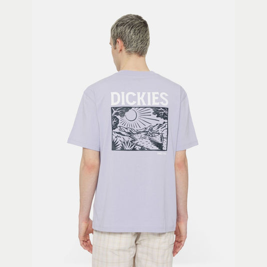 DICKIES - PATRICK SPRINGS TEE SS COSMIC S