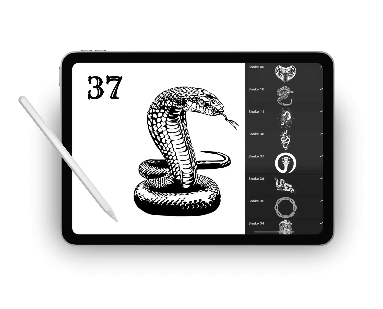 Procreate Snake Stencil.webp__PID:511afc86-756e-466f-ad95-36a4df13c112