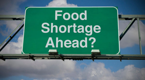 Food shortage image