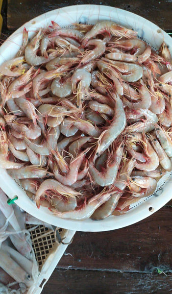 Dishthefish The New Age Fishmonger fresh fish seafood sea white ang kar her online delivery market fuss free cooking prawn paste recipe bundle. All about sea white prawns. Wild-caught sustainable responsible Indonesia Malaysia fishing boats 渔民 新加坡 鱼贩 海虾 新鲜 网购 印尼 马来西亚 钓鱼 虾桨肉