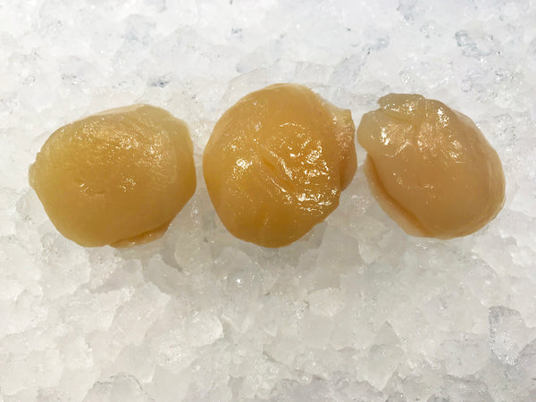 dry packed chemical-free scallops dishthefish