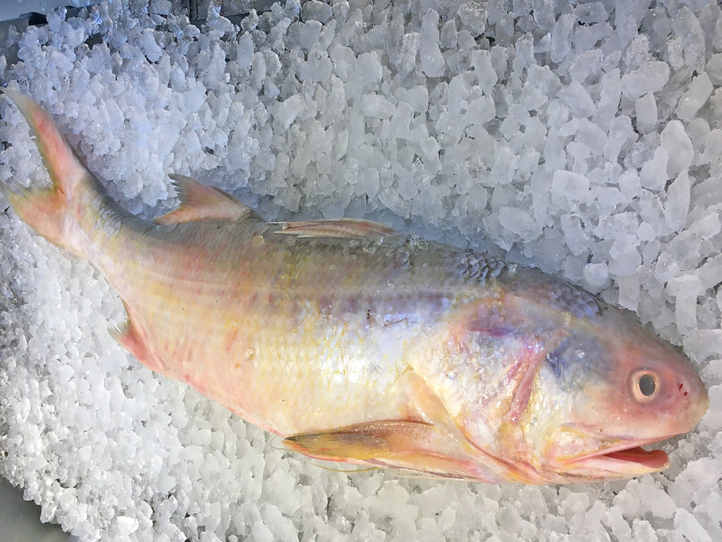Wild Sustainable Balai Threadfin Ikan Kurau About 3kg Dish The Fish