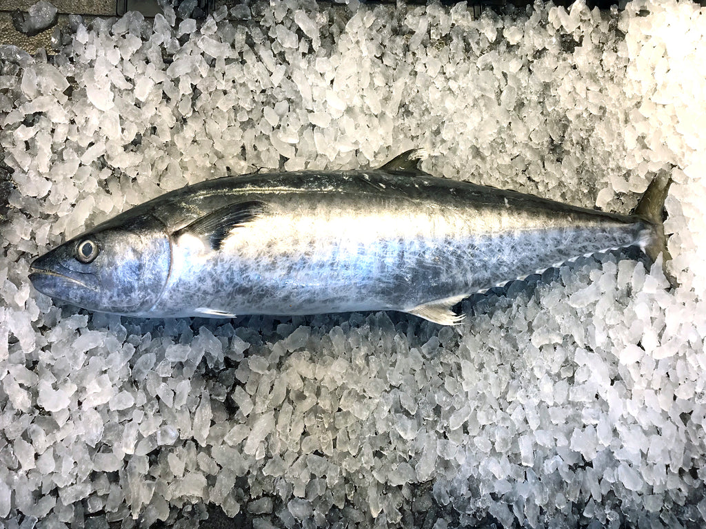 Wild Whole Spanish Mackerel Batang About 2 5kg Dish The Fish