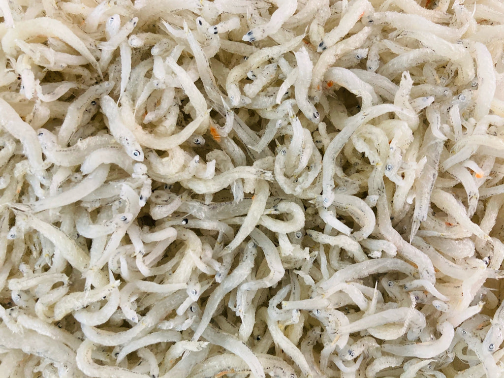 japanese whitebait fish