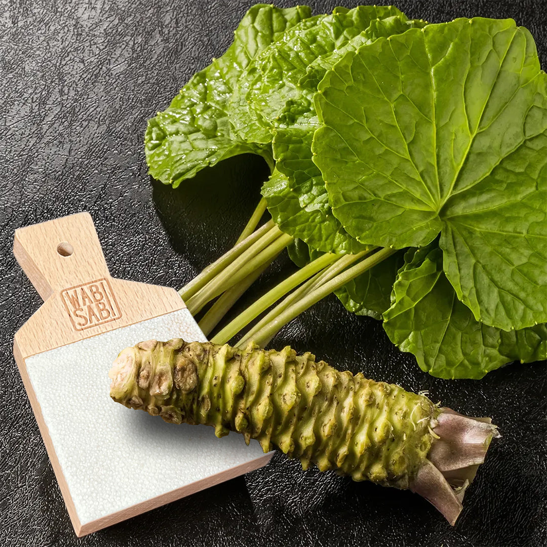 Shark Skin Wasabi Grater | Traditional Oroshi | Made in Japan | Wabi Sabi - Real Wasabi USA product image