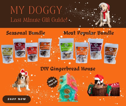 image of gift guide of dog treats - 3 options - seasonal bundle, most popular bundle and DIY Gingerbread House