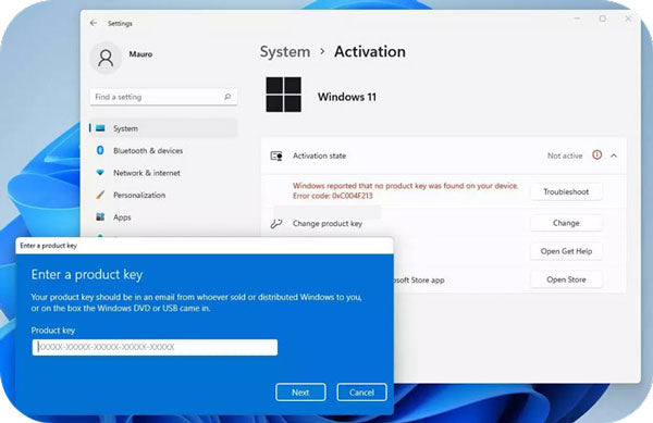 windows 11