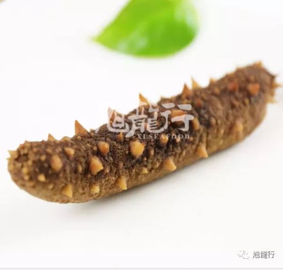 旭龙行阿拉斯加红参 Alaska Sea Cucumber California Sea Cucumber