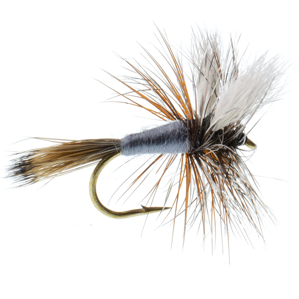 Royal Wulff Classic Trout Dry Fly Fishing Flies - Set of 6 Flies Size