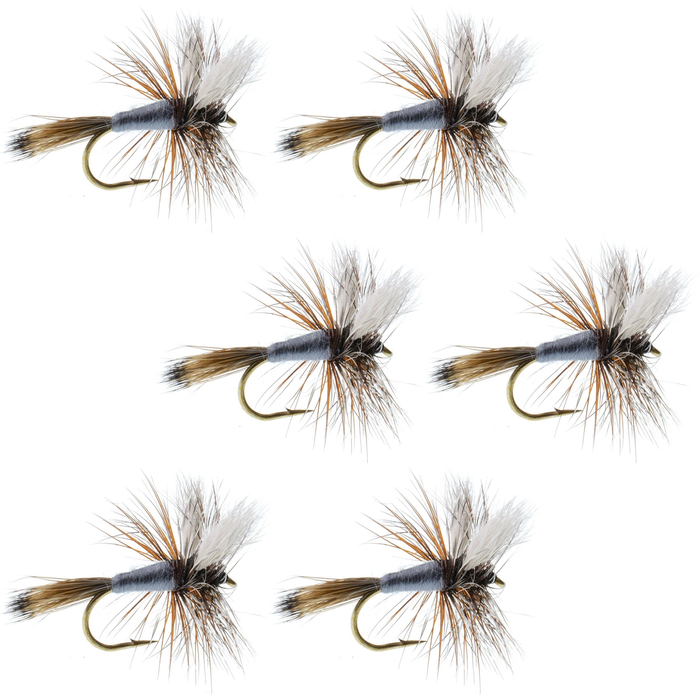 Eastern Trout Fly Assortment 12 Essential Dry and Nymph Fly