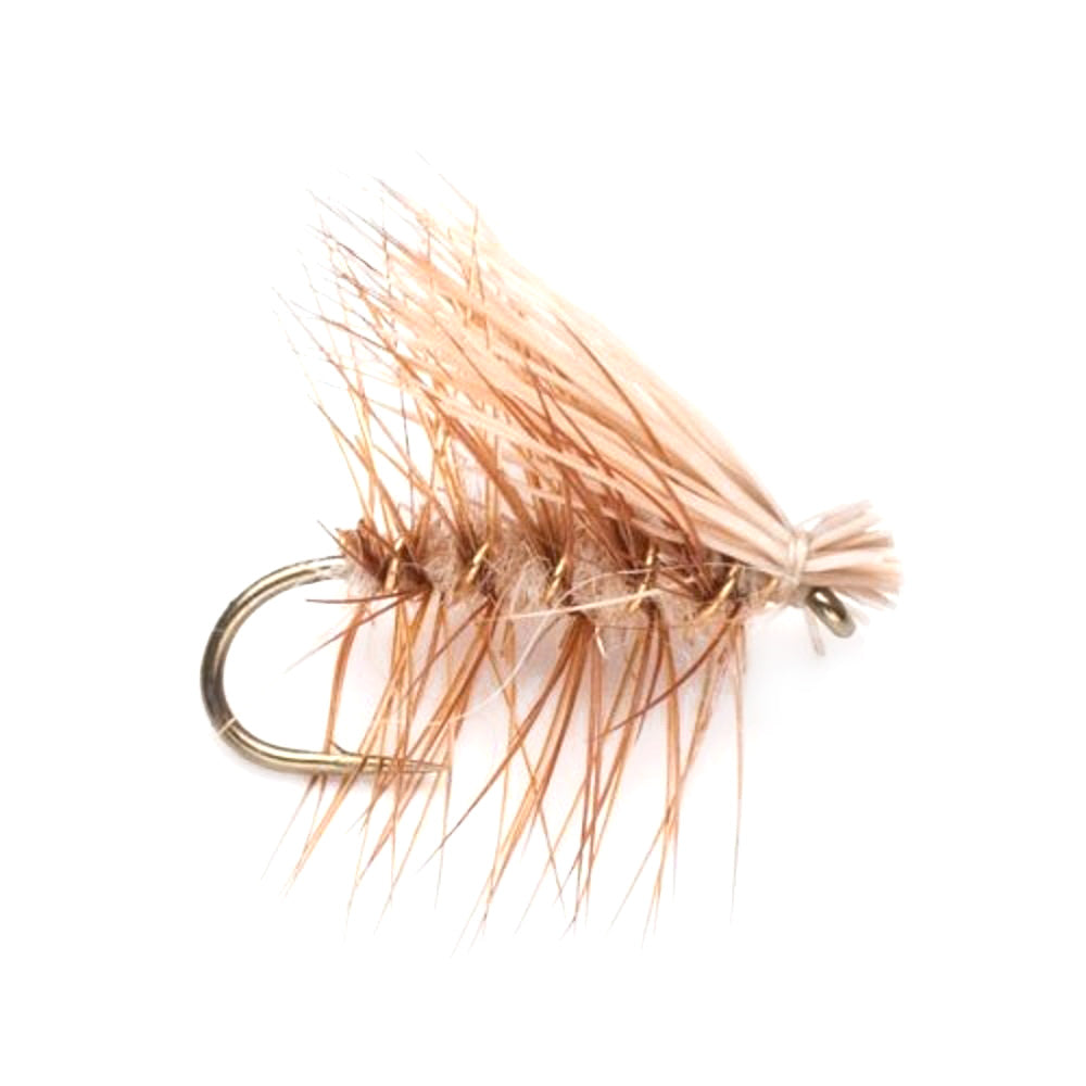 Feeder Creek 30pc Elk Hair Caddis Fly Fishing Flies, Premium Fly Fishing  Dry Flies with Fly Box in 5 Colors and 3 Sizes Trout Flies | Trout Fly