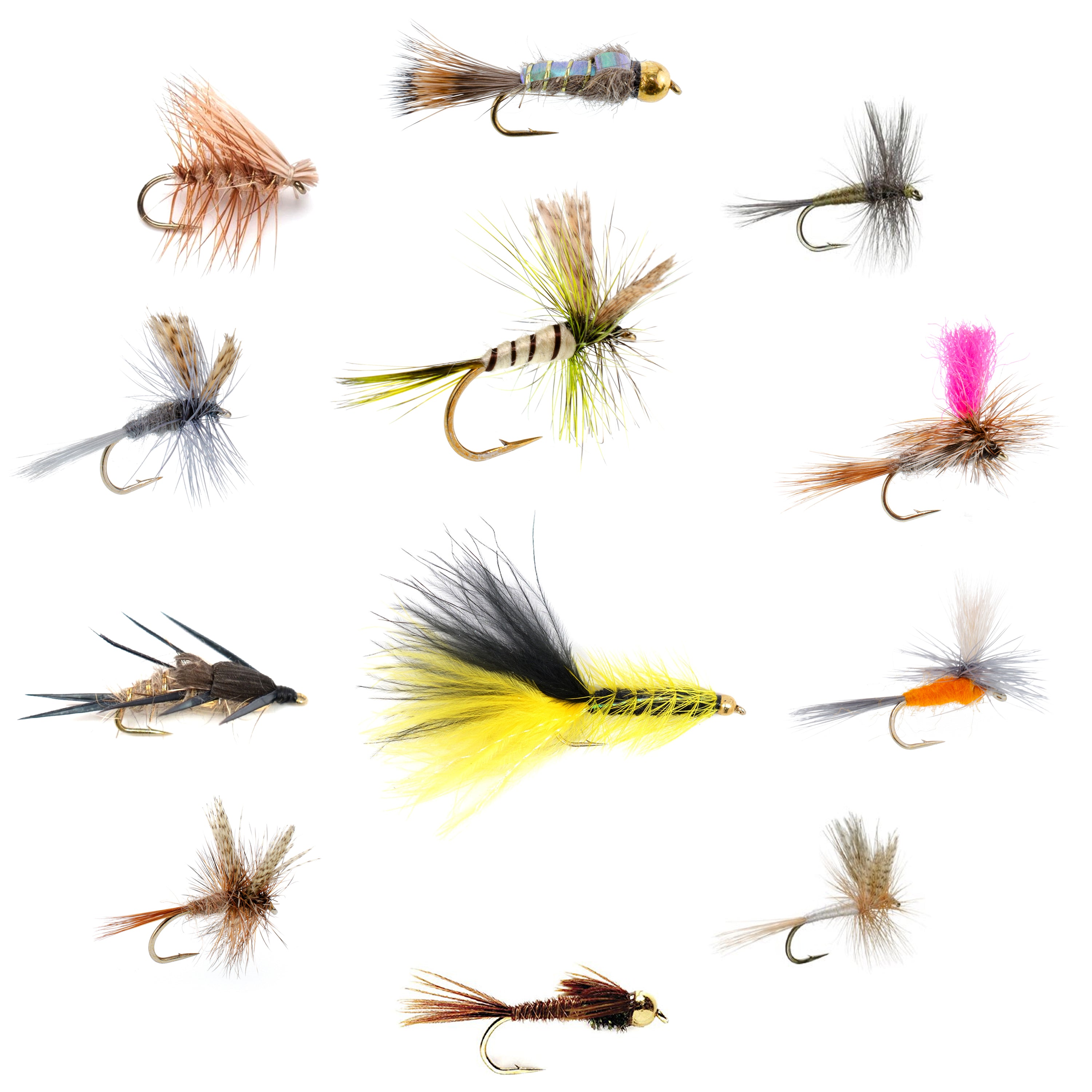 Dry Fly Assortment - 48 Flies in 12 Trout Crushing Patterns - Sizes 12-14