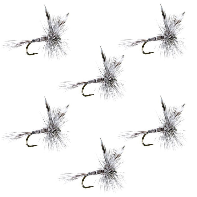 Mosquito Classic Trout Dry Fly Fishing Flies - Set of 6 Flies Size