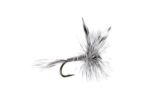 Mosquito Dry Fly