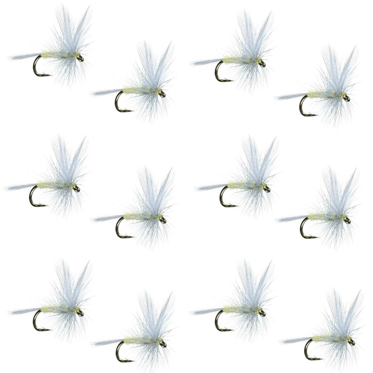 https://cdn.shopify.com/s/files/1/0764/9813/files/Pale-Morning-Dun---PMD---Classic-Trout-Dry-Fly-Fishing-Flies-Set-of-12.jpg?width=768