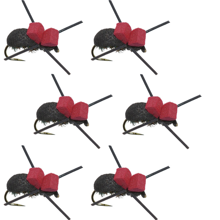Barbless Red Top Black Foam Beetle Terrestrial Trout Dry Fly