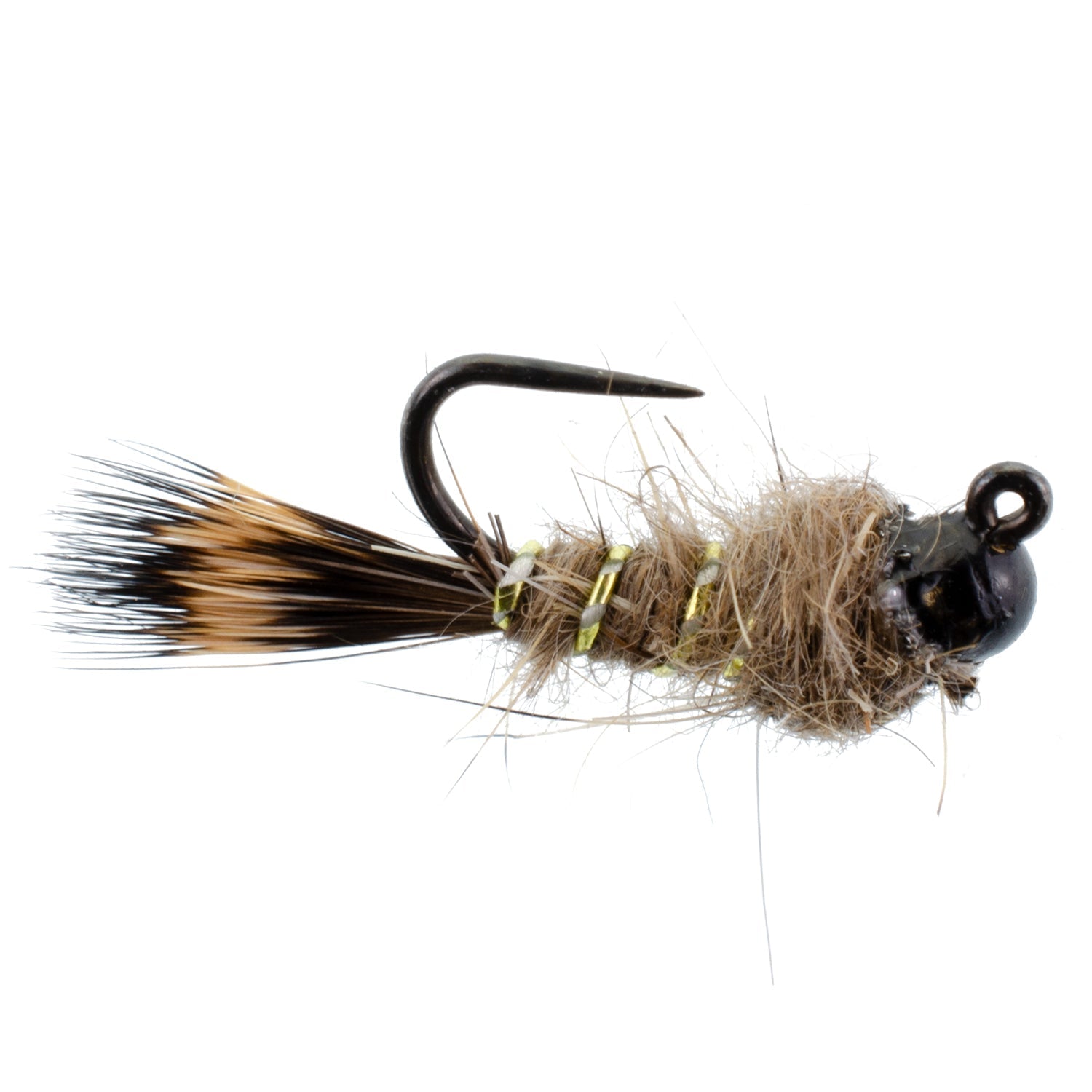 The Fly Fishing Place Basics Collection - Elk Hair Caddis Dry Fly  Assortment - 10 Dry Fishing Flies - 5 Patterns - Hook Sizes 12, 14, 16, 18