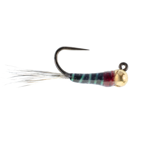 Perdigon Euro Nymph Fly