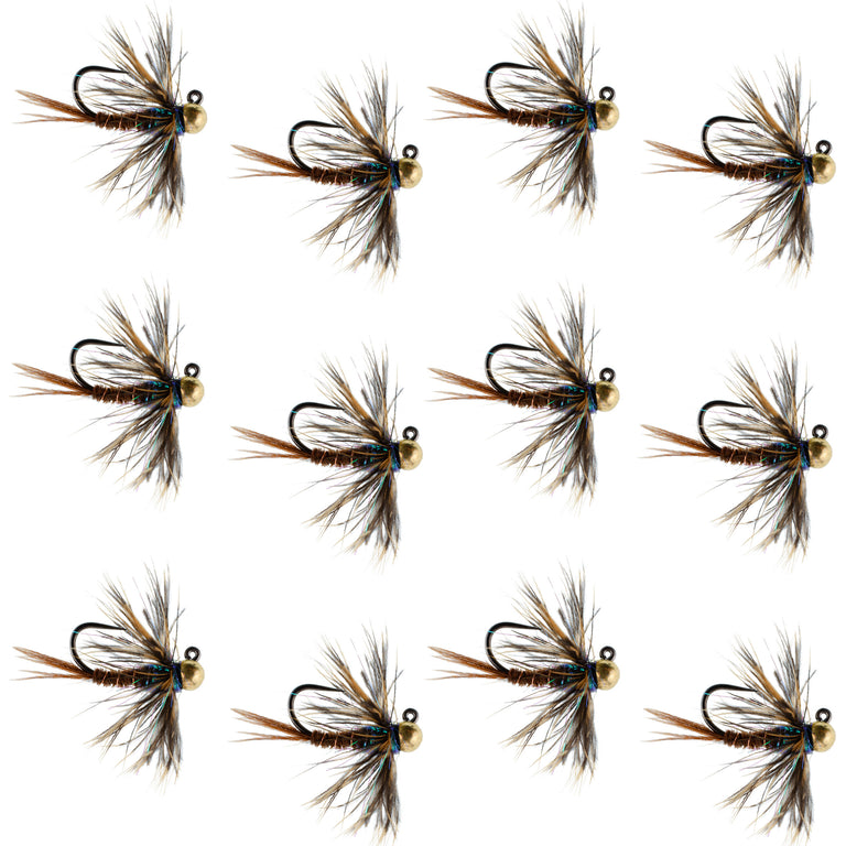 Tungsten Bead Soft Hackle Pheasant Tail Tactical Jig Czech Nymph Euro  Nymphing Fly - 1 Dozen Flies Size 16 from The Fly Fishing Place