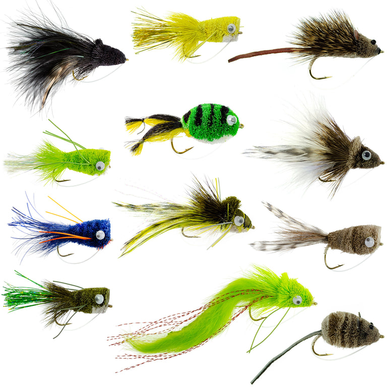 Bass Bug Collection - Set of 12 Bass Fly Fishing Flies - Surface Poppers  Frog, Rat, Mouse and Divers - Hook Sizes 2,4, 6 and 8 from The Fly Fishing  Place