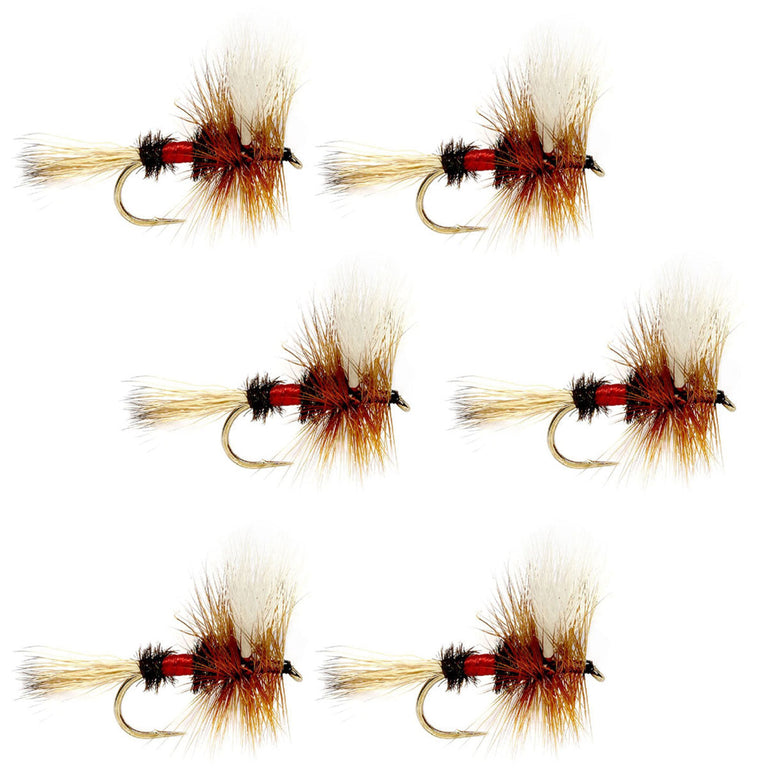 Royal Wulff Classic Trout Dry Fly Fishing Flies - Set of 6 Flies Size 14  from The Fly Fishing Place