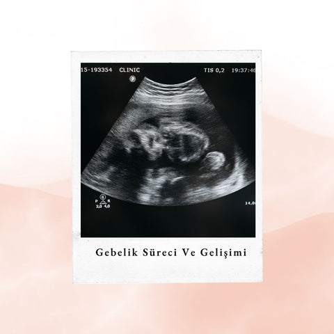 Gebelik süreci ve gelişimi - Ella Bonna