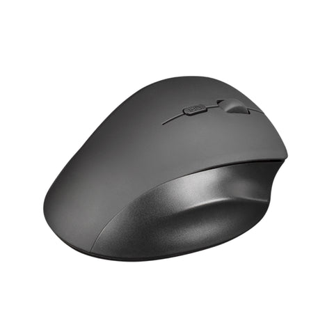 souris ergo noir