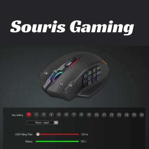 souris gaming personnalisable