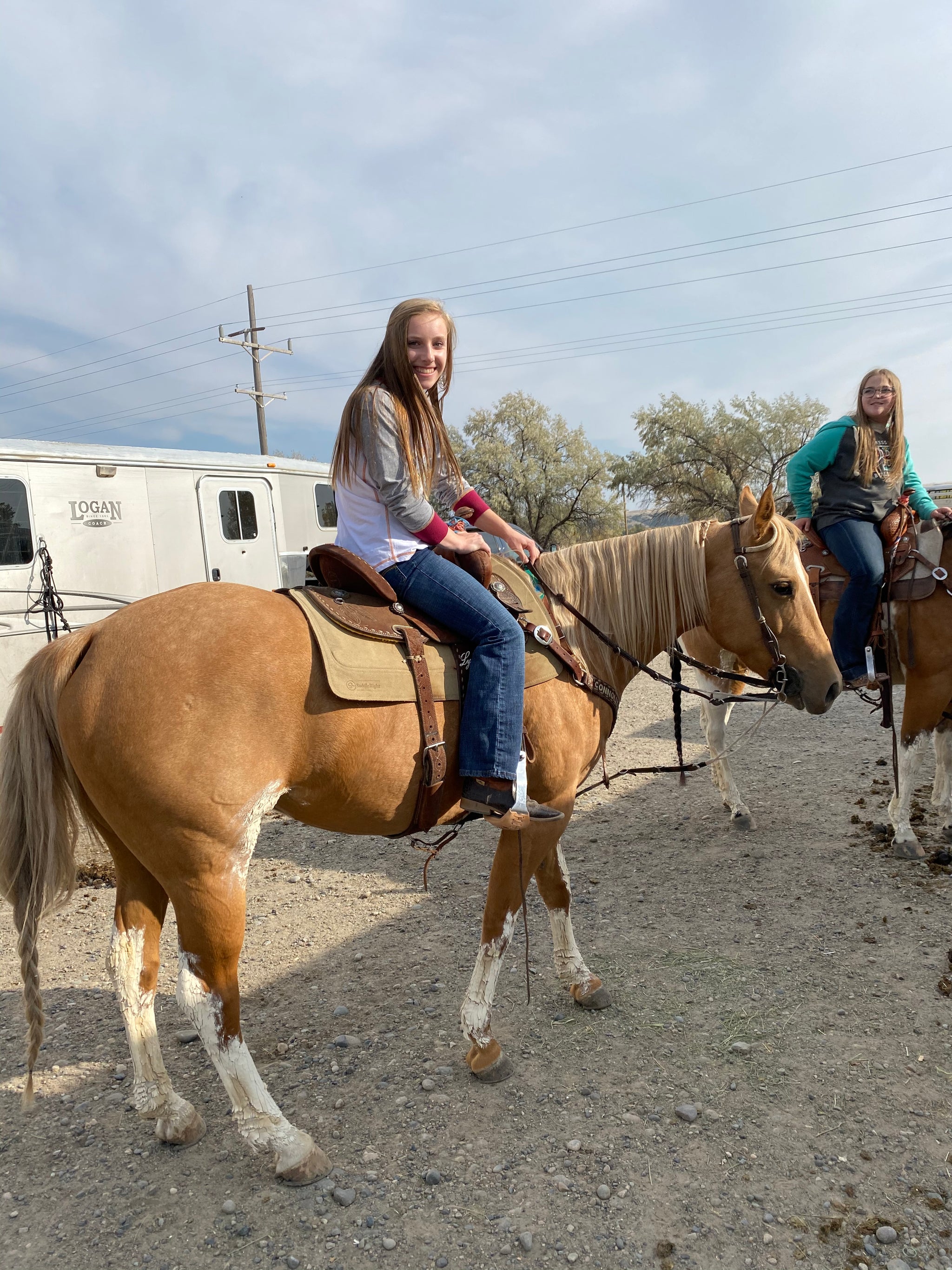 palomino horses with saddles